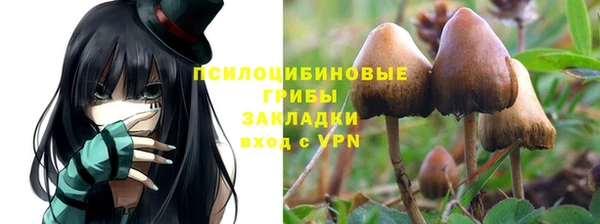 бошки Белокуриха