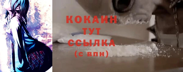 бошки Белокуриха