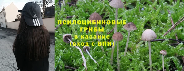 стафф Белоозёрский