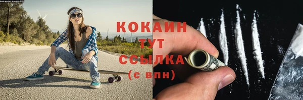 бошки Белокуриха