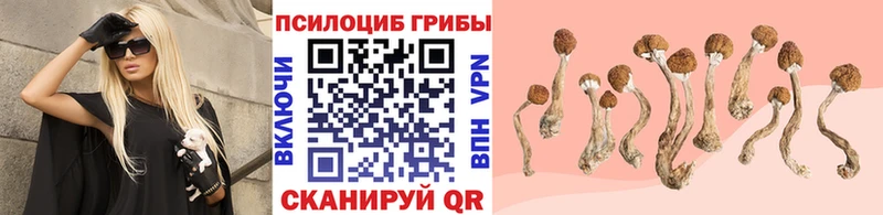 Галлюциногенные грибы прущие грибы  Сковородино 